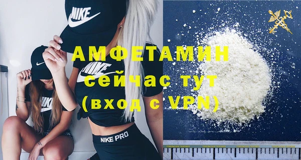 стаф Алексин