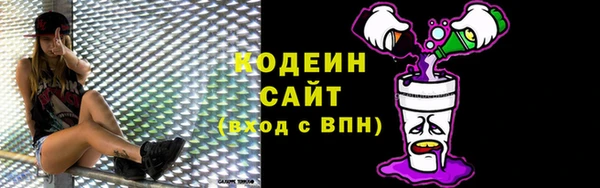 дживик Новозыбков