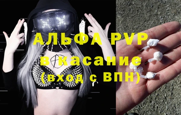 стаф Алексин