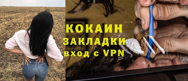 стаф Алексин