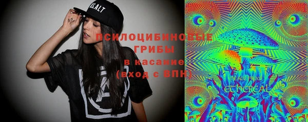 стаф Алексин