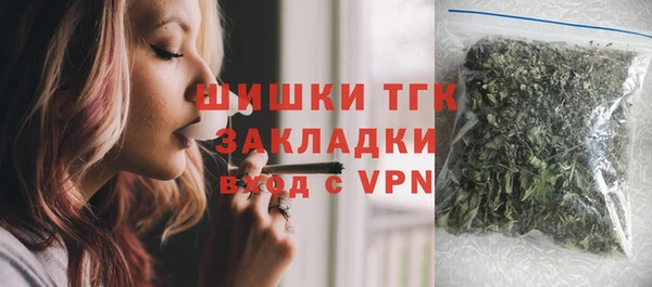 стаф Алексин