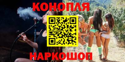 скорость Новозыбков