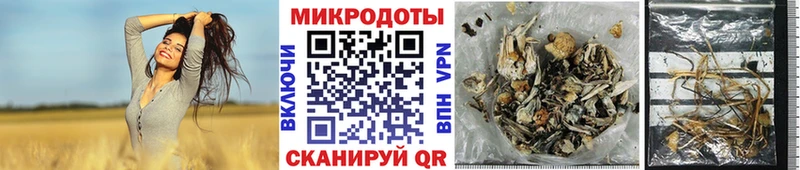 Галлюциногенные грибы ЛСД  Арзамас 