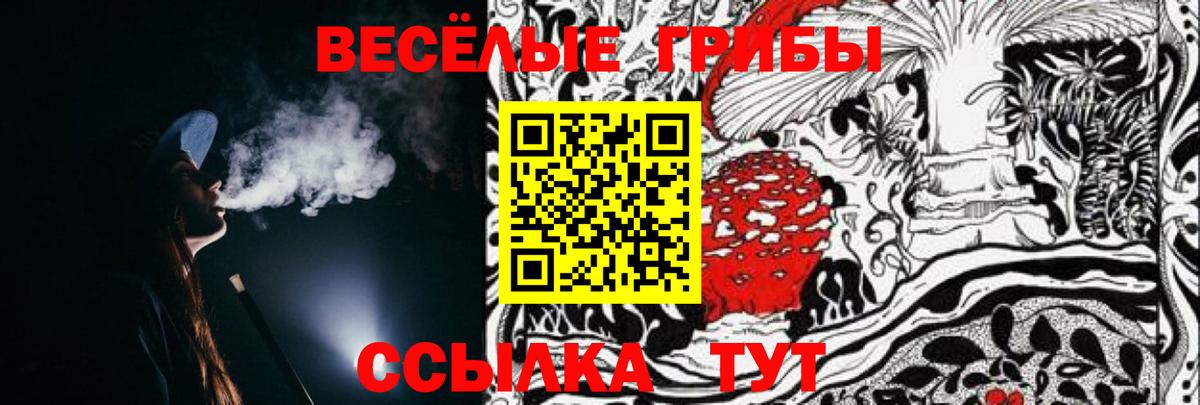 Арзамас  Галлюциногенные грибы мухоморы  Вход с VPN 