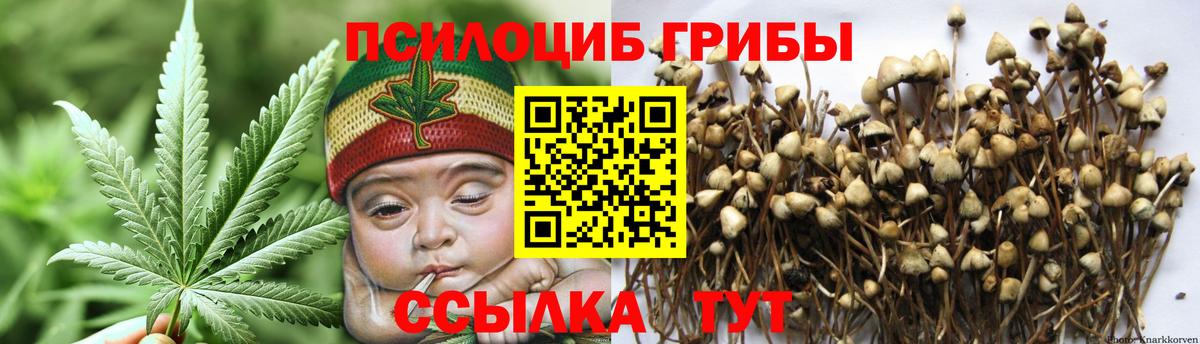 Псилоцибиновые грибы мухоморы Арзамас
